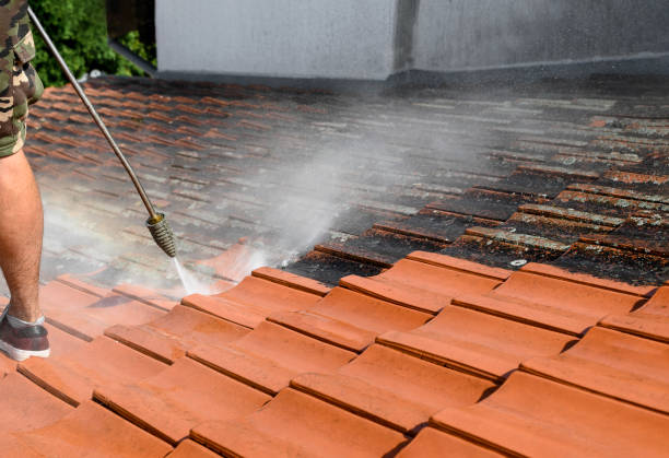Best Sidewalk Pressure Washing  in Waretown, NJ